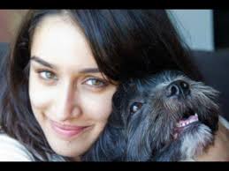 Candid Pics Bollywood Celebrities Pets Bollywood Celebrity Dogs Indian Celebrities Pets Bollywood Celebs Pets Bollywood Actors Actresses Pets Bollywood Celebrities On Instagram Salman Khan Loves Dogs candid pics bollywood celebrities pets