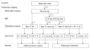 Serrated Polyps Of The Colon And Rectum Endoscopic Features