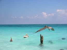 Tulum Wallpapers Wallpapers All Superior Tulum Wallpapers Backgrounds Wallpapersplanet Net