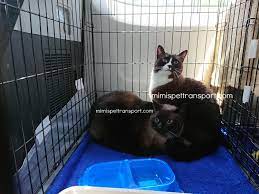 Get real pet transport cost with uship. Mimi S Pet Transport Usa Safest Private 48hr Ground Transportation