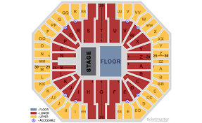 cogent gibson amphitheatre seating chart with rows rose