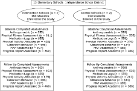 Figure Study Flow Chart Abc Activity Bursts In The