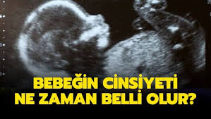 Bebegin Cinsiyeti Ne Zaman Belli Olur Cinsiyet Hamilelik Anne