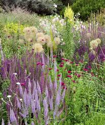 Planting A New Perspective Noel Kingsbury Piet Oudolf 9781604693706 Amazon Com Books Plants Natural Garden Prairie Garden