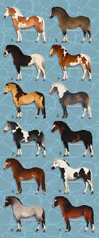 Pin By Fabio Urquiza On Schleich Repaint Ideen Horse Art Ideas Horse Coat Colors Horse Drawings