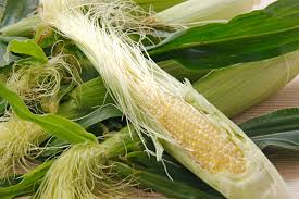 Maybe you would like to learn more about one of these? What Is Baby Corn And Where Does It Come From Thrillist