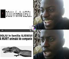 Până la porc se observă urme de frânare… asiduu căutat de miliţie pentru mârşava faptă, autorul a fost recunoscut, apoi eliberat. Ion Iliescu Photos Facebook