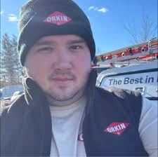 Who provides local tree removal services in Milton?