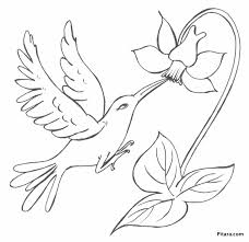 How might you use these easy drawing guides, designed for kids of all ages? Easy Pencil Drawings Of Flowers And Birds Novocom Top