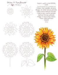 How To Draw A Sunflower Simple Flower Drawingstep By Step Diy Tutorial Flower Drawing Tutorials Flower Drawing Sunflower Drawing
