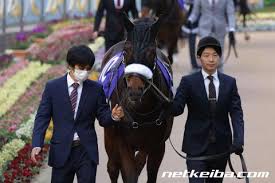 Read the rest of this entry ». ã‚«ãƒ¬ãƒ³ãƒ–ãƒ¼ã‚±ãƒ‰ãƒ¼ãƒ« ç«¶èµ°é¦¬ãƒ‡ãƒ¼ã‚¿ Netkeiba Com