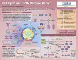 life science posters tocris bioscience