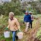 Working Bee - Friends of the Basin & Belchers event image