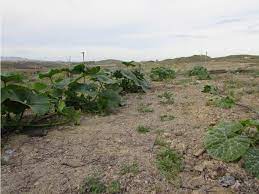 Maybe you would like to learn more about one of these? Fincas En Alquiler En Almeria Provincia Spainhouses Net