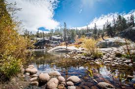 Maybe you would like to learn more about one of these? For The Family Mono Hot Springs Submerge Magazine Music Art Lifestyle