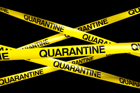 With average reported prices for 3 day quarantine stay. Health Canada Asks Importers To Quarantine Polydrug Apis Over Data Concerns