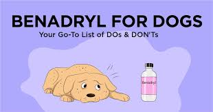 Benadryl For Dogs Your Go To List Of Dos Donts Simple Wag