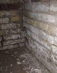 Content updated daily for dirt basement floor solutions. How To Deal With A Dirt Basement Floor Dearmonty