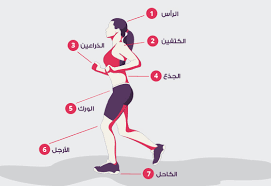 وأضافت نتائجها أن المواظبة على ممارسة رياضة الجري تساعد الجسم على إفراز عناصر كيميائية مسكّنة تسمى بـ الاندروفينات تساعد على تخفيف الألم والتقلّصات العضلية. Ø§Ù„Ø·Ø±ÙŠÙ‚Ø© Ø§Ù„ØµØ­ÙŠØ­Ø© Ù„Ù…Ù…Ø§Ø±Ø³Ø© Ø±ÙŠØ§Ø¶Ø© Ø§Ù„Ø¬Ø±ÙŠ ÙƒÙ…Ø§Ù„ Ø§Ù„Ø§Ø¬Ø³Ø§Ù… Ùˆ Ù„ÙŠØ§Ù‚Ø© Ø¨Ø¯Ù†ÙŠØ© ÙÙŠØªÙ†ÙŠØ³ ÙŠØ§Ø±Ø¯ ÙƒÙˆÙ…