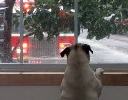 Image result for site:byggahus.se Securitas Direkt