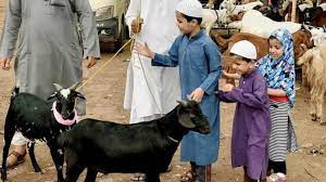 From media.npr.org dog meat sales continue at chinese festival despite expected ban (graphic) | national geographic. Mystic Mantra Id Ul Zuha The Muslim Festival Of Sacrifice