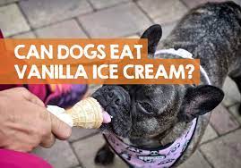 Maybe you would like to learn more about one of these? Can Dogs Eat Vanilla Ice Cream The Health Risks