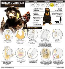 Infografik Page 13 Sinar Harian