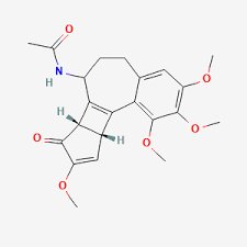 Image result for Camptorrhiza strumosa