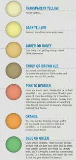Urine Colors Color Of Urine Pee Color Health Chart