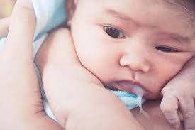 bebeklerin sindirim sistemi uzm dr percem bosnali