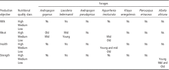 Image result for Andropogon pseudapricus