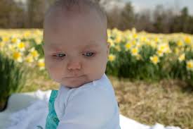 chris cullum photography