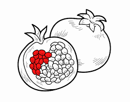 Dessin De Le Grenade Colorie Par Membre Non Inscrit Le 02 De Avril De 2019 A Coloritou Com Colorier Coloriage Fruits Dessin