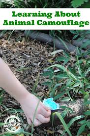 Image result for animal camouflage word