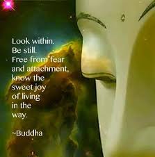 Stillness Quotes Buddha. QuotesGram via Relatably.com