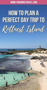 How To Plan A Perfect Day Trip To Rottnest Island In Australia Western Australia Travel Australia Travel Western Australia Road Trip