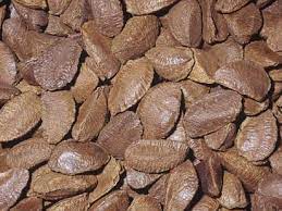 Brazil Nut Only Foods