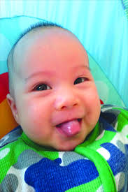 Dragon babies take flight