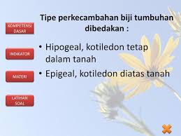 Harga bibit bunga matahari terkini. Pertumbuhan Dan Perkembangan Pada Tumbuhan Ppt Download