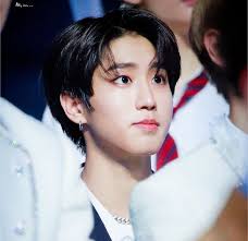 Puppy Eyes Puppy Eyes Stray Puppies