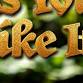 As You Like It