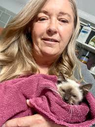 Does the over-the-counter dewormer work well for kittens?