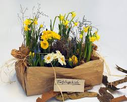 Zurzeit keine produkte im onlineshop. Fruhlingsblumen Balkon Und Beet Blumenstudio Kolberger Ihr Florist In Kiel