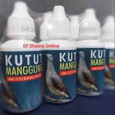 Bukan hanya gacor, bahkan bunyi perkutut tersebut dapat. Kutut Manggung Super Kicau Vitamin Burung Perkutut Derkuku Puter Vitamin Kontes Lomba Kutut Shopee Indonesia
