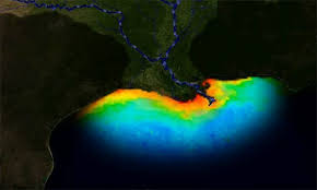 Ein brand im golf von mexiko hat am freitag für spektakuläre videos gesorgt. Us Golfkuste Todeszone So Gross Wie Nie Nahrstoffeintrag Des Mississippi Verschlimmert Sauerstoffzehrung Im Golf Von Mexiko Scinexx De