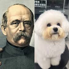 The idea that you'll be DONE with natural gains after 3/4/5 years is WILD.  This deserves a full video to itself but the number of counterexamples to  this inane stance is tremendous.