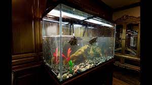 Indoor Red Eared Slider Turtle Tank Setup Youtube