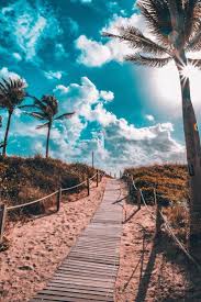 Miami Beach South Beach Nature Photography Landscape Scenery