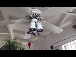 36 Regency Cabana Ceiling Fan Music Edition Youtube Ceiling Fan Fan Grandmas House