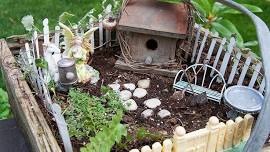 CI: Fairy Gardens